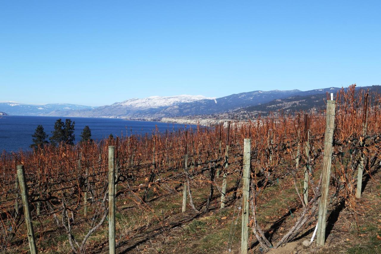 Sunshine And Wine Loft Hotel Penticton Ngoại thất bức ảnh