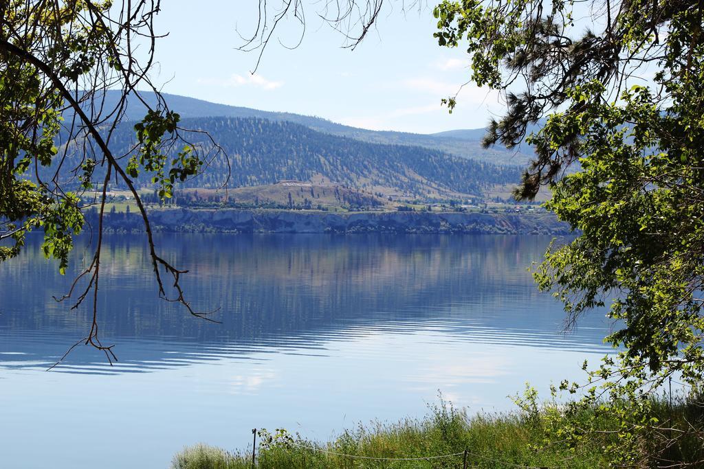 Sunshine And Wine Loft Hotel Penticton Ngoại thất bức ảnh